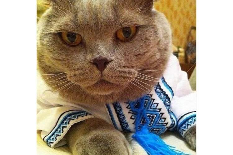 психологія моди, аксесуари, сумочка, червона помада