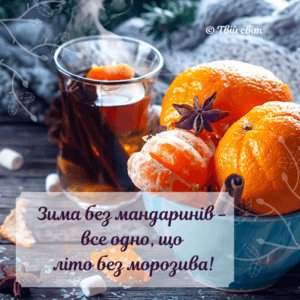 цитати про зиму