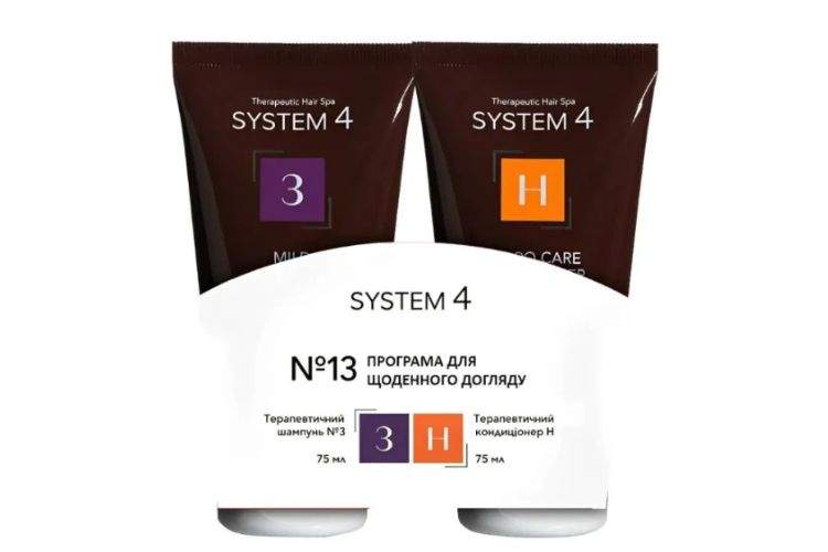System 4